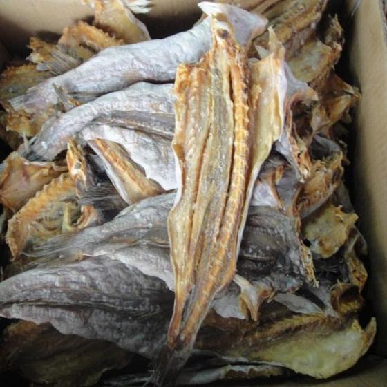 fish stock with fish heads fish stock with fish heads