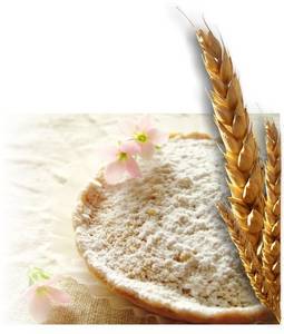 Wholesale stabilizer: Bread Flour
