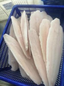 Wholesale bulk muscle protein: Frozen Pangasius Fillet