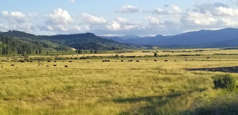 Wind River View Campground