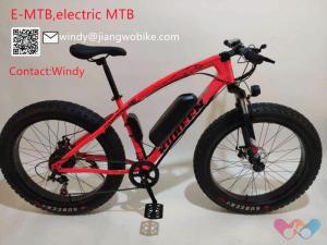 Wholesale Electric Bicycle: E-MTB Electric MTB