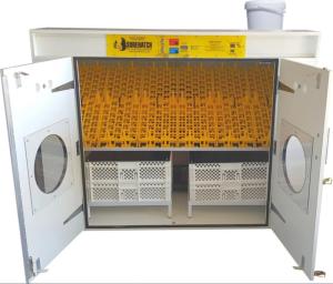 Wholesale incubator: Poultry Equipments for Sale