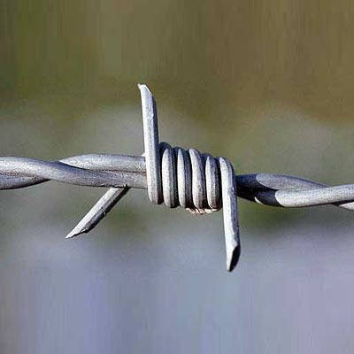 galvanized barbed wire