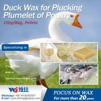 Sell Duck Wax for Plucking Plumelet of Poultry