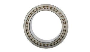 Wholesale Roller Bearings: Double-Row Cylindrical Roller Bearings