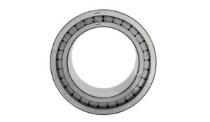 Wholesale bearing heating: Double-Row Full-Complement Cylindrical Roller Bearings
