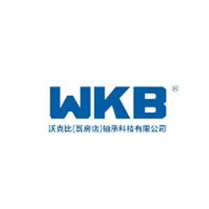 WKB  Wafangdian  Bearing Technology Co,. Ltd.