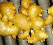 Wholesale vegetable ginger: Ginger