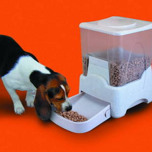 Wholesale gift packaging: Large Automatic PET Feeder
