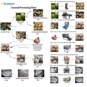 Wholesale vegetable parer: Coconut Processing Machines Coconut Milk Processing Line