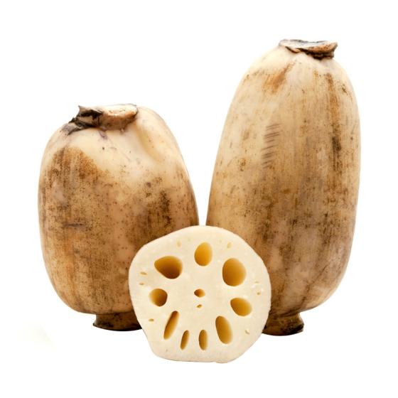 50cm-organic-chinese-fresh-lotus-root-id-10910326-product-details