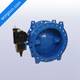 Double Eccentric Type Butterfly Valve