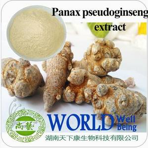 Wholesale Plant Extract: Panax Pseudoginseng Extract Notoginsenoside UV50%