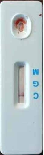 Test Kit