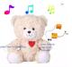Amazon Hot Sale Voice Recorder for Plush Toy Repeat Talking Teddy Bear Stuffed Customize Plush Toys
