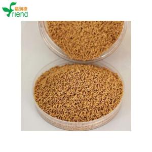 Wholesale red tea: Red Jujube and Ginger Tea Instant Granules Care for Women, Regulate the Body Nourish Blood