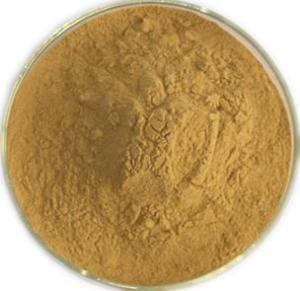 Wholesale nourish liver: Astragalus Polysaccharides Extract Powder Astragalus P. E. Astragalus Polysaccharides