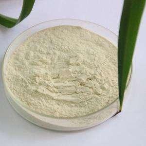 Wholesale anti toxic mask: Garlic Extract Powder Garltc Clovrowderedd Extract Allicin