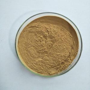 Wholesale Plant Extract: Ginkgo Biloba Extract Powder Ginkgo Biloba Extract 24/6