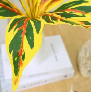Wholesale customizable size: Artificial Dracaena Trifasciata