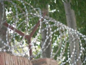 Wholesale chain link wire mesh: Razor Blade Barbed Wire