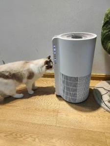 Wholesale smell: Wholesale PET Products Air Purifier Remove Danger Hair Odor and Smell