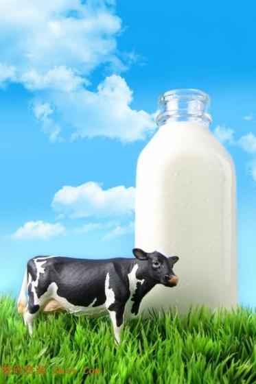 High Calcium Whole Milk(id:11133712) Product details - View High ...