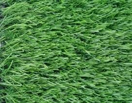 Nice Decorations Landscaping Artificial Grass Carpet/Fake Turf Lawn /Sward Grass for Walls