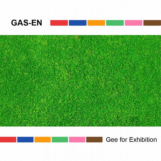 New Developed Decorative Grass for Balcony