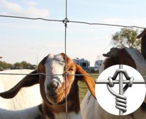 Wholesale goat plate: Fixed Knot Woven Fence