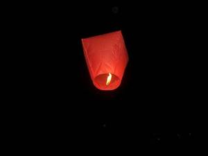 Wholesale flying lanterns: Sky Latern