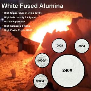 Wholesale Alumina: High Purity White Fused Alumina Powder White Corundum Powder for Polishing
