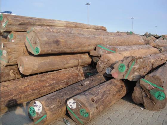 Sell Burma Teak Logs