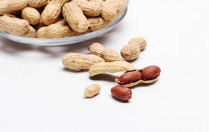 Wholesale broad beans: Peanut Inshell
