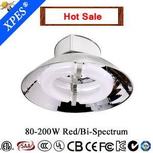Wholesale high bay lamps: High Power Low Freqency Induction Lamp High Bay