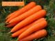 Sell  Frozen Carrot From Viet Nam