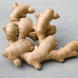 Wholesale sugar: Fresh Ginger with High Quality