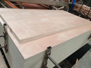 Wholesale vietnam plywood: Commercial Plywood