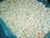 Wholesale salted vegetable: Garlic