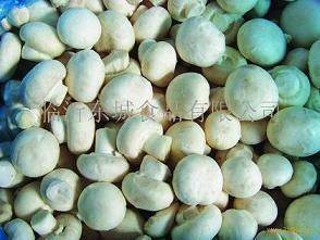 Wholesale garlic cloves: Mushroom