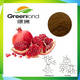 Pomegranate Extract,Polyphenols, Ellagic Acid,Punicalagins High Quality