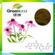 Echinacea Extract, Polyphenol, Chicoric Acid, Cichoric Acid, Echinacea Purpurea.