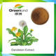Pure Dandelion Root Extract Powder, Herba Taraxaci