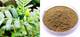 Wholesale Saponins 90% Tribulus Terrestris Extract