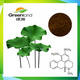 Natural Plant Extract Lotus Leaf Lotus Leaf Extract Powder