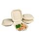 Biodegradable Disposable 100% Natural Paper Food Containers Two-Compartments