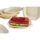 Biodegradable Disposable 100% Natural Paper Food Tray 9"