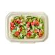 Biodegradable Disposable 100% Natural Paper Food Plate/Tray/Bowl