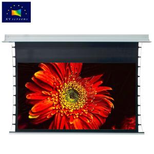 Wholesale acoustic fiberglass: OEM/ODM Tab Tension Concealed Hidden in-Ceiling Recessed Electric Premium Motorized Projector Screen