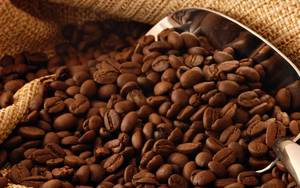 Wholesale top quality: Coffee Beans
